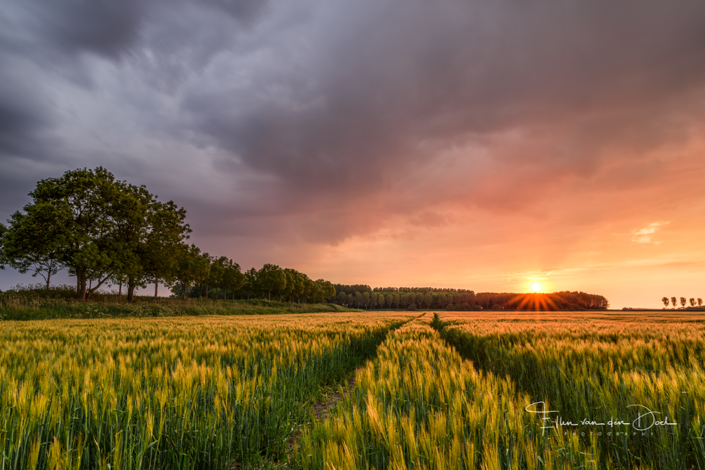 Storm chaser