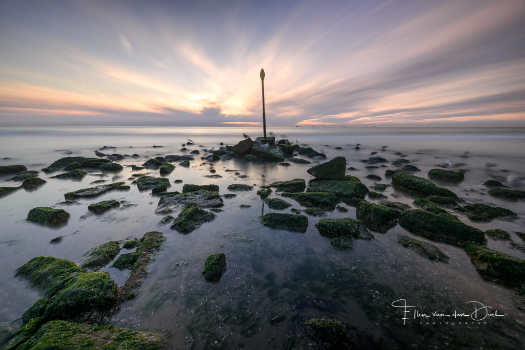 paal-scheveningen
