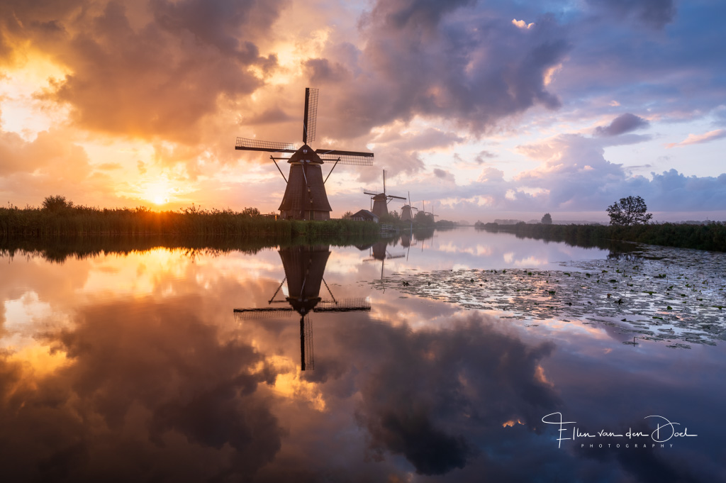 Schilderachtige zonsopkomst bij Kinderdijk