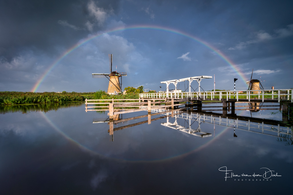 Terugblik op 2020