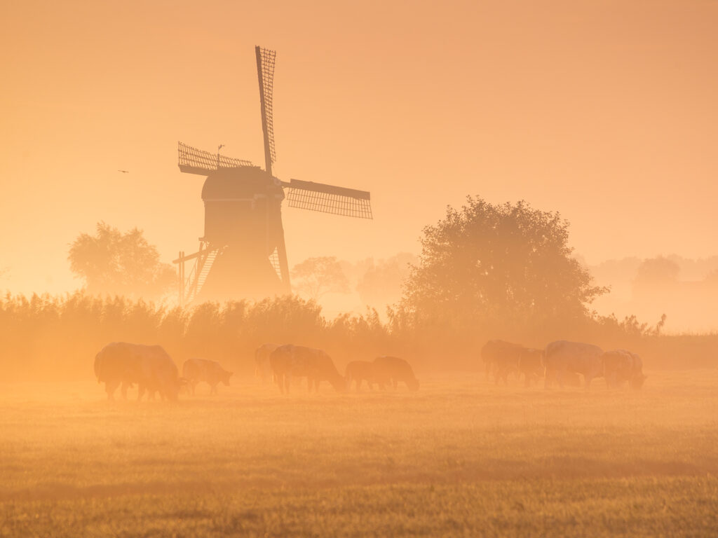 Mooie zonsopkomst met mist en molens.