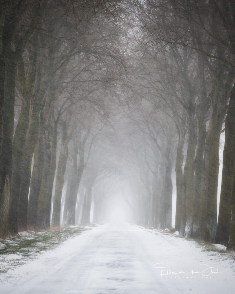 Sneeuwstorm