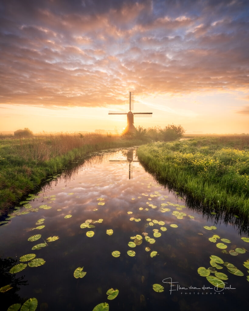 Zonsopkomst molen