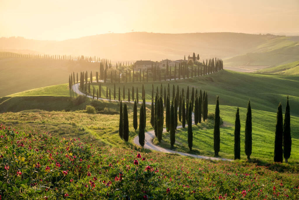 Toscane - Ellen van den Doel
