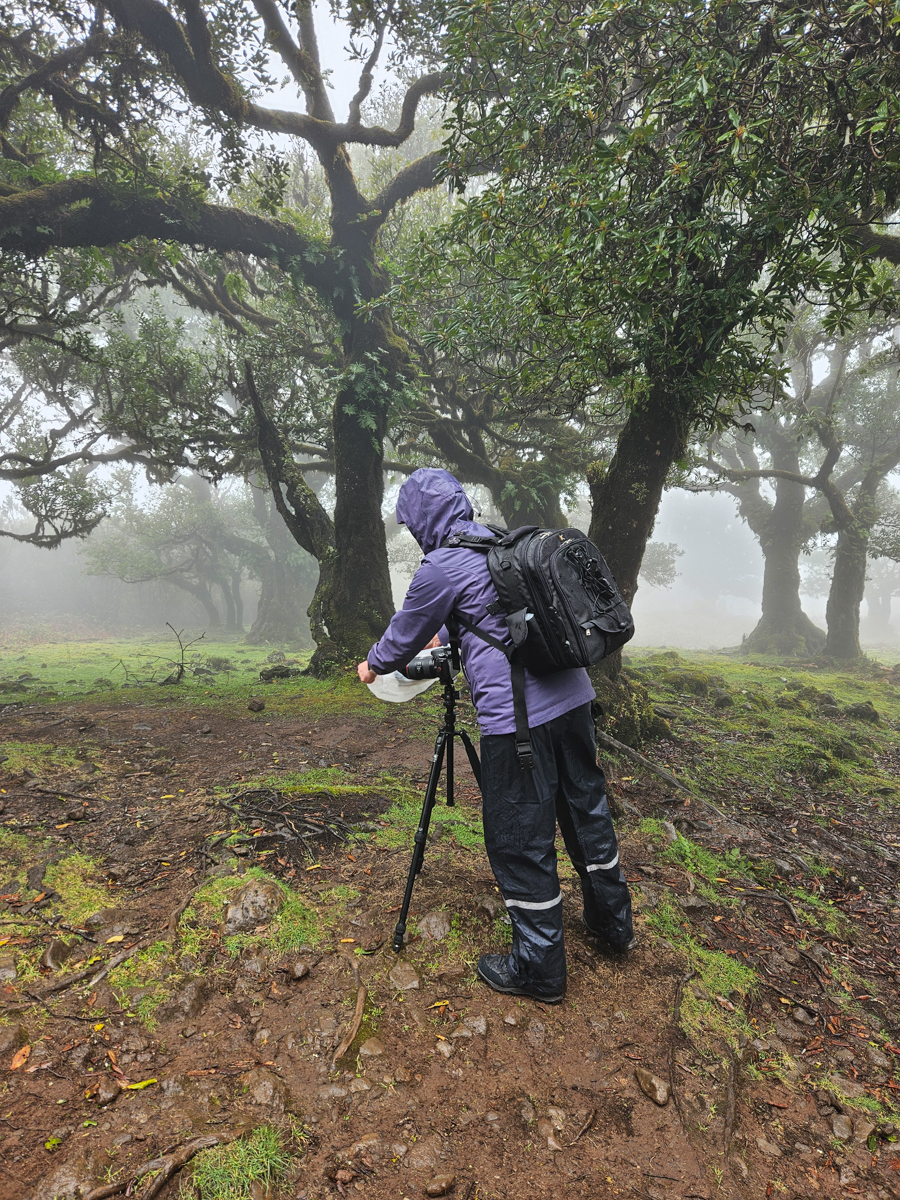 Fotoreis Madeira