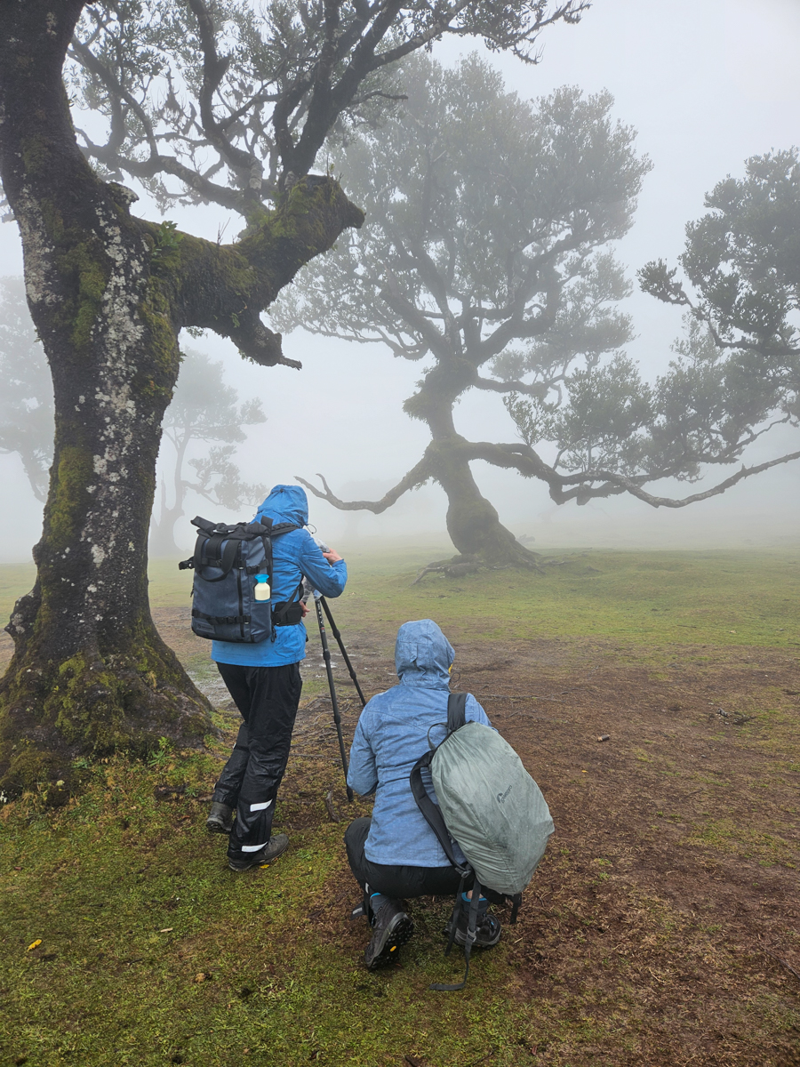 Fotoreis Madeira