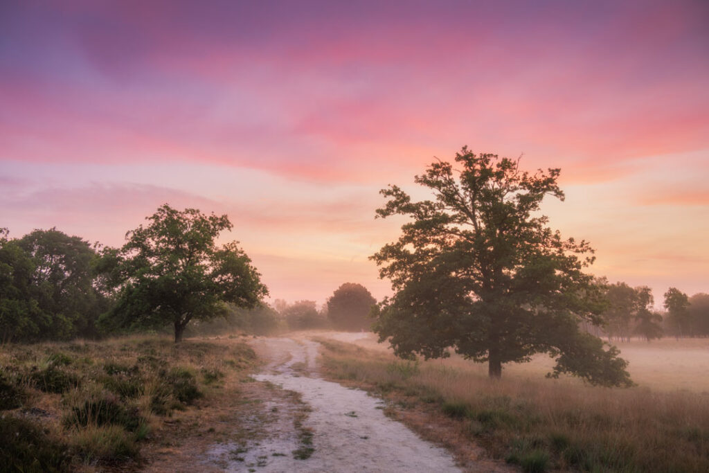 Zomerse zonsopkomst