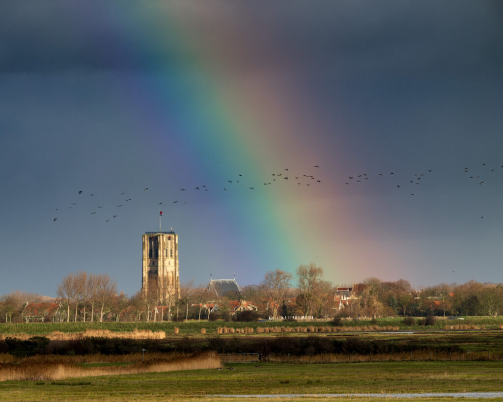 Regenboog - Ellen van den Doel