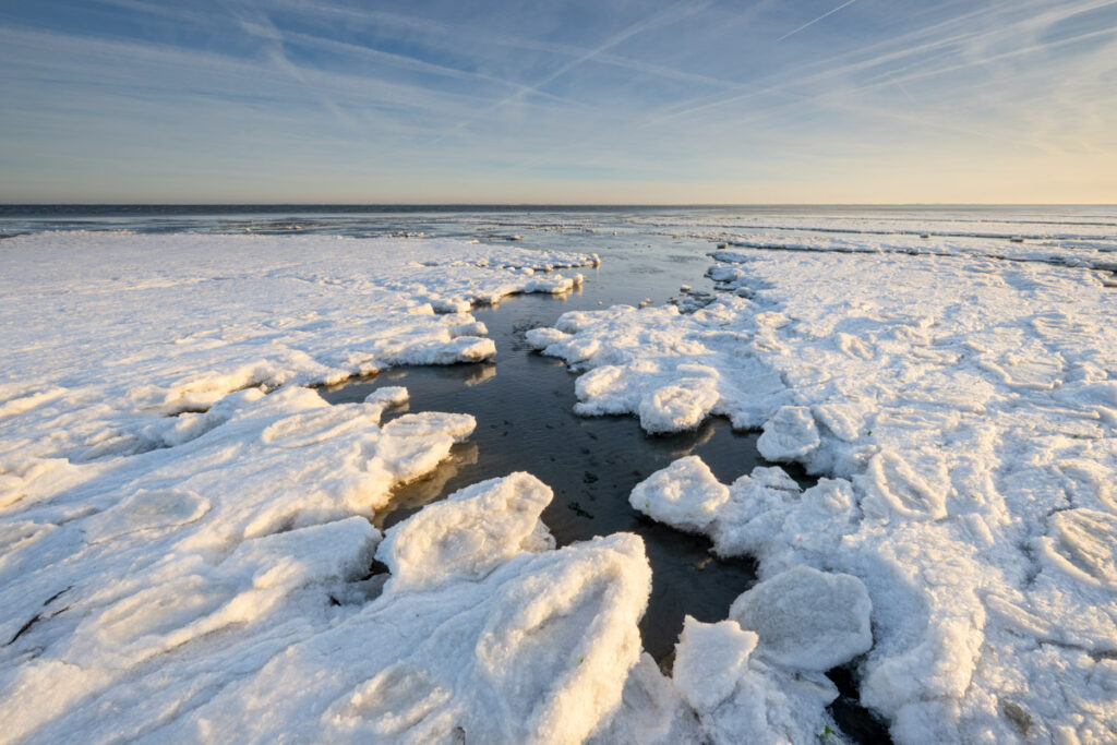 Winter - Ellen van den Doel