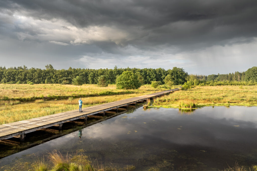 Persoon in landschap op een vlonderpad