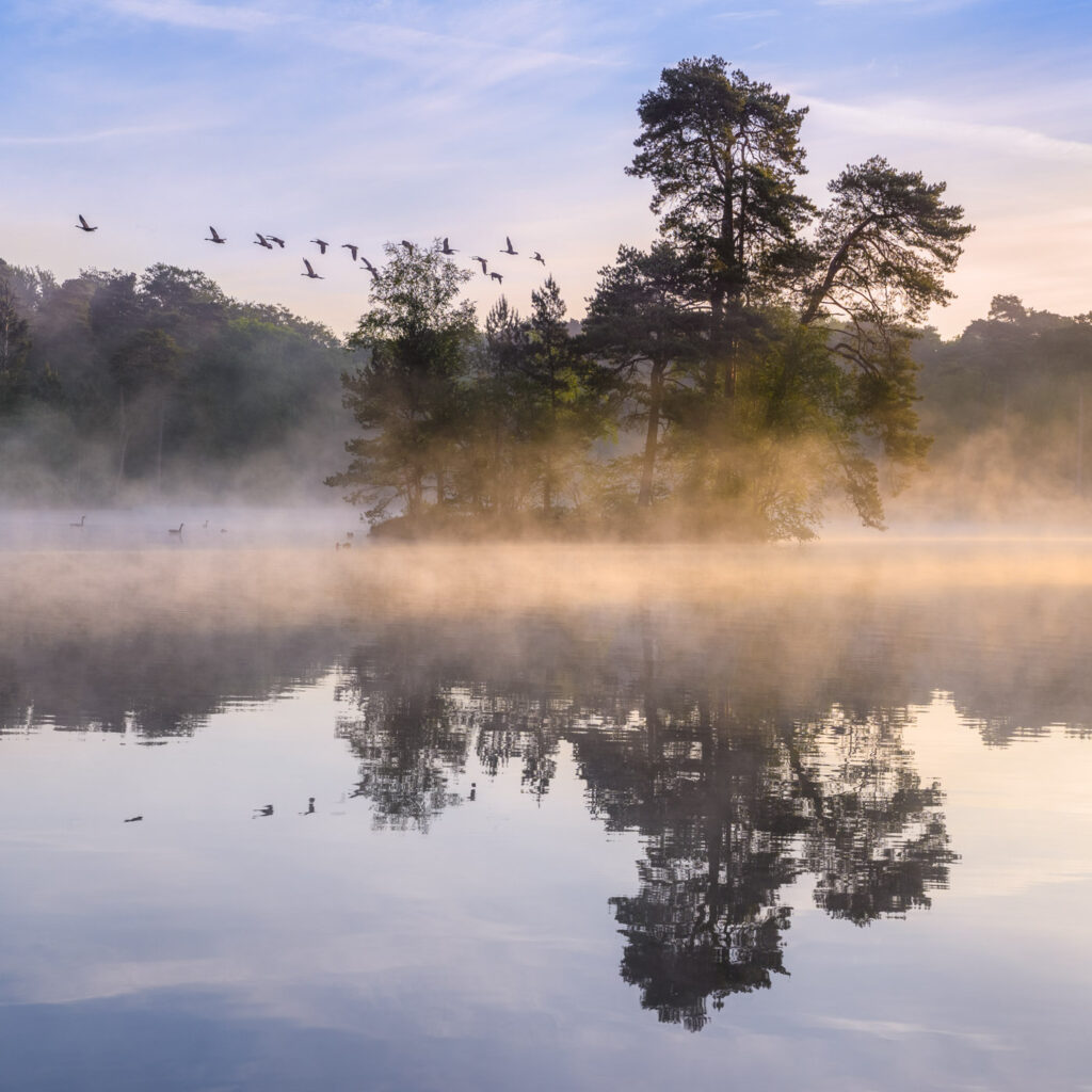 Online cursus landschapsfotografie